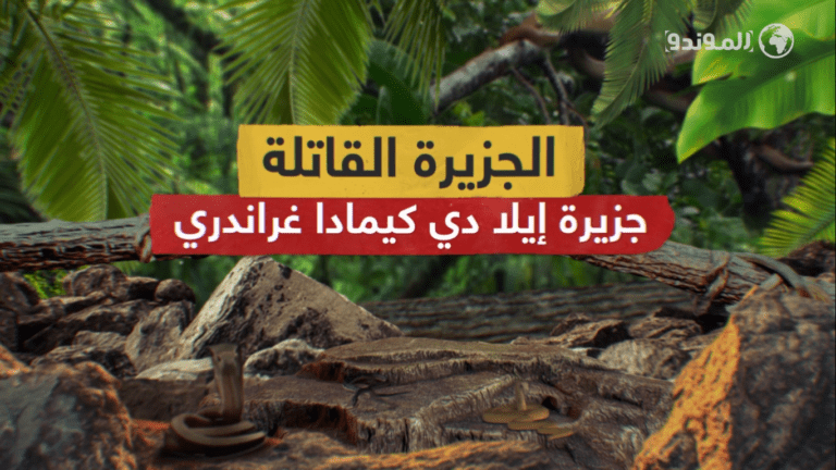 جزيرة مليئة بالثعابين والأفاعي تحوي الفصائل النادرة والأشد فتكا في العالم