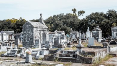 صورة رفات بشري يحول إلى سماد عضوي .. تعرف على أحدث تقنيات الموت المستدامة في أمريكا