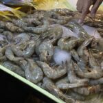 جمبري طازج معروض على الثلج في سوق أسماك