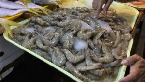 جمبري طازج معروض على الثلج في سوق أسماك